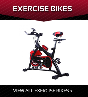 bodytrain blast exercise bike
